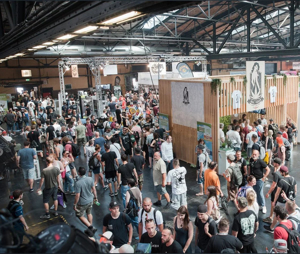 BeFox Detox — Mary Jane 2021