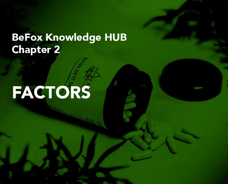 The factors involved in 🥦 detoxification with BeFox Detox