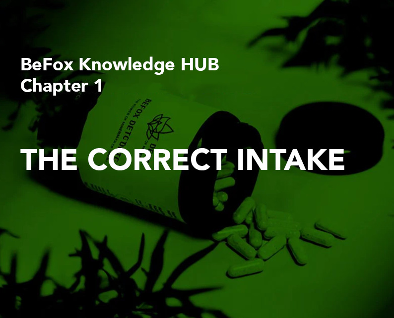 The optimal THC detox with BeFox Detox