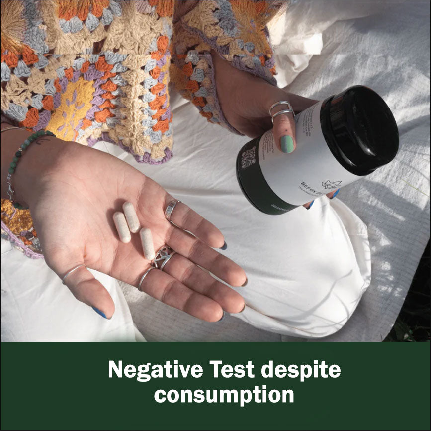 Befox Detox Starter Pack