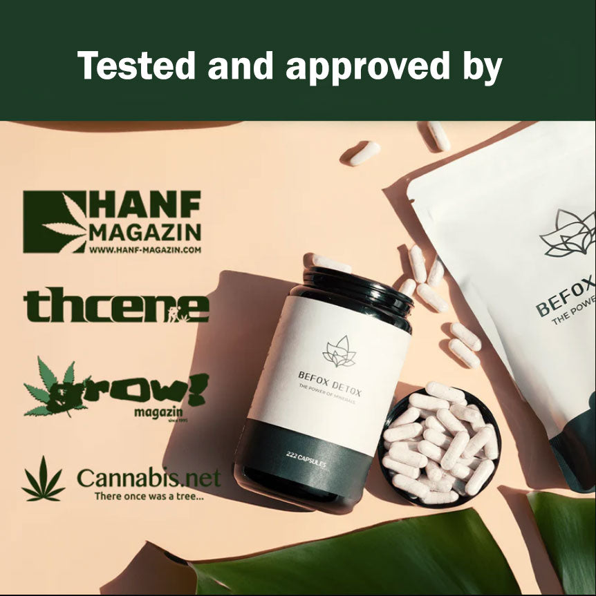 Befox Detox Starter Pack