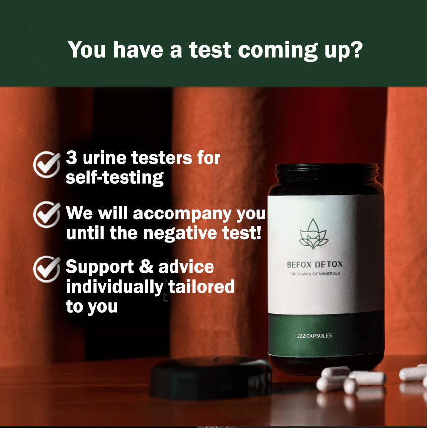 Befox Detox Starter Pack